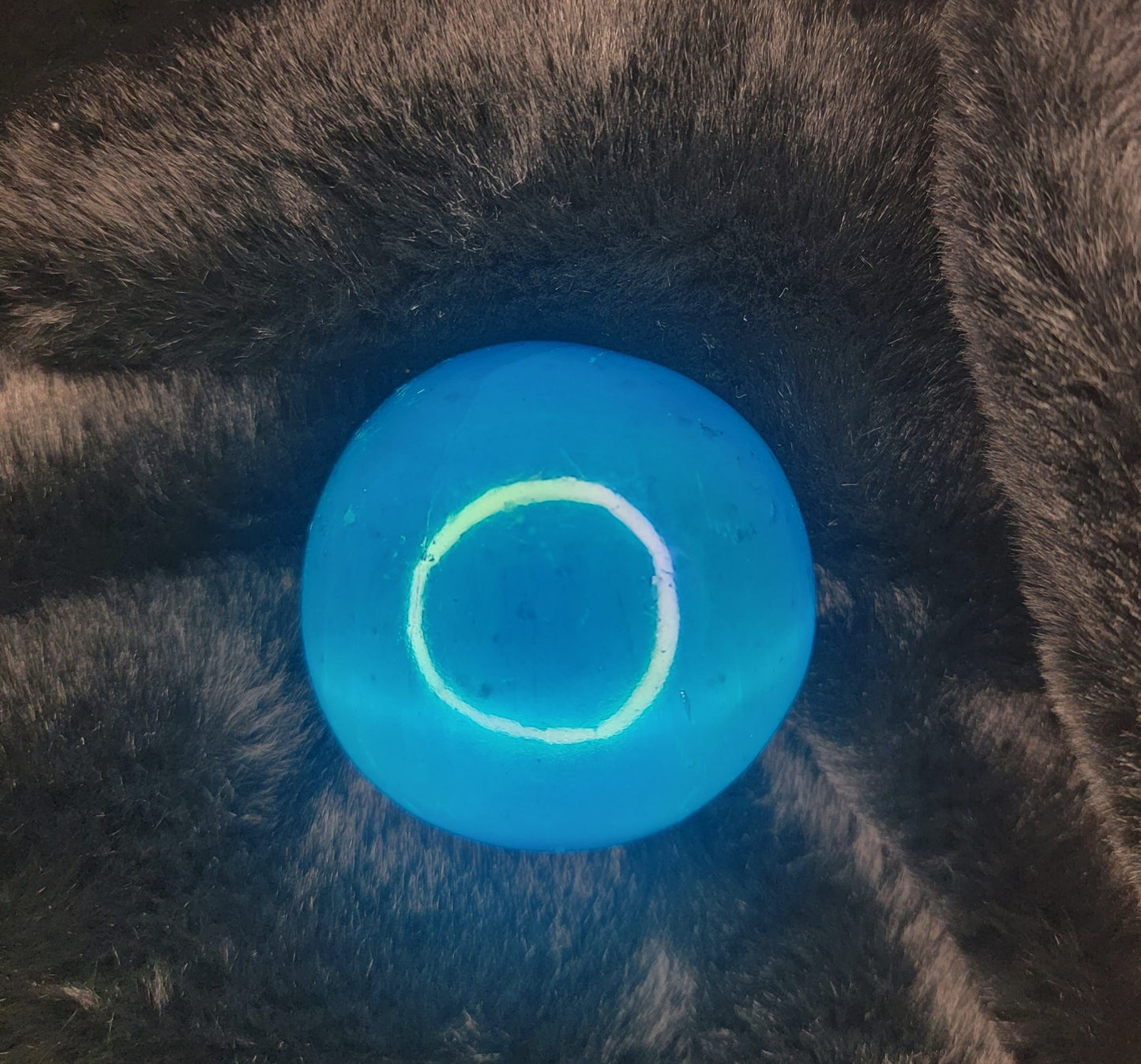 Blue Cats Eye