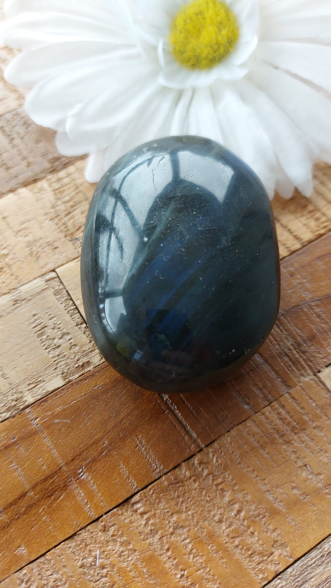 Labradorite Palm Stone - Blue Flash